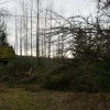Haus Schweden Kauf 2015-02-28